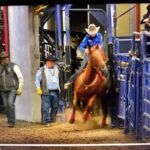 Donna Kay Rule Death & Obituary: Beloved Barrel Racer Tragically Killed in NFR Accident