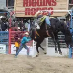 Jasen Olsen Rodeo Obituary & Death Utah: Celebrating the Life of a Rodeo Legend