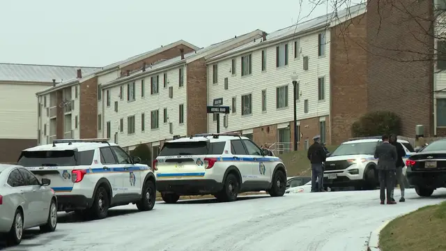 Breslin Court Shooting: Two Children and Two Adults Injured in Tragic Domestic Dispute